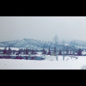 Meet your Posher, Shay